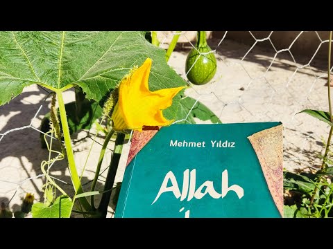 Allah ile Konuşturan Namaz