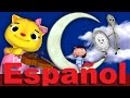 Tirintintín El Gato Y El Violín Canciones Infantiles LittleBabyBum