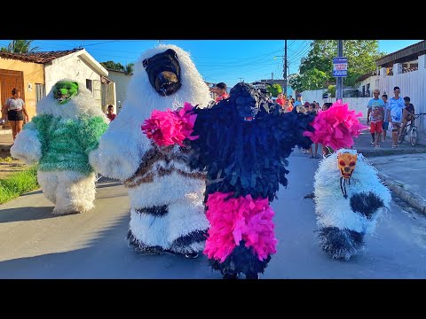 Ala Ursa Acorda Várzea Nova - Carnaval Fora de Época