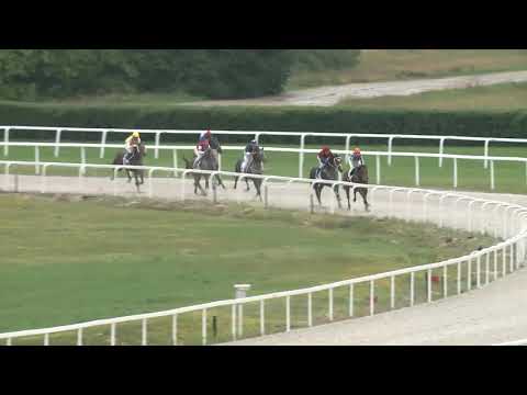 2020.06.14. 05. futam - ZÍRCI DÍJ (II.kat.) (szintetikus pálya)