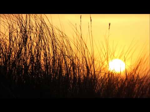 [HD] Digital Soap - No Message (Salaryman Remix)