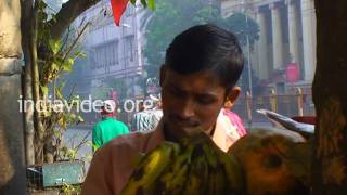 Fruit Salad Shop, Kolkata, West Bengal