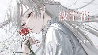 彼岸花 Covered by ロップ