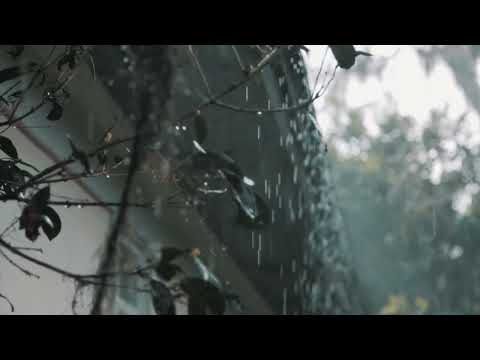 Rains of Memory, Bebu Silvetti Tribute, Spring Rain