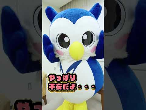 やっぱり不安なめいじろう～卒業生に話をきいた～ #shorts