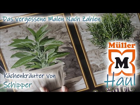 Müller Haul | The forgotten paint-by-numbers -