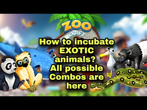 Incubation Of Exotic Animals II ZC 2020 II All possible Combos