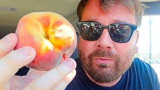 Scottish Guy Tries Georgia Peaches For The First Time