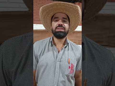 Hoje, às 19:30  Leilão de Gado do Sindicato Rural de Guaraçaí,  YouTube e Facebook da Rádio ES.