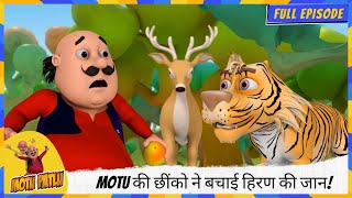 Download lagu Motu Patlu | मोटू पतलू | Full Episode | Motu की छींको ने बचाई हिरण की जान! 🦌😮 mp3 Download lagu Motu Patlu | मोटू पतलू | Full Episode | Motu की छींको ने बचाई हिरण की जान! 🦌😮 mp3