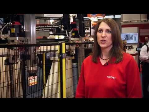 Güdel - 2-axis Linear Motion Type ZP