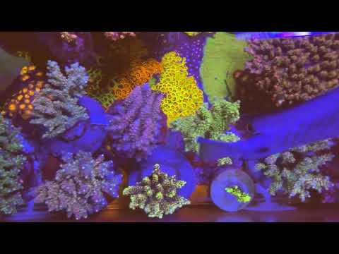 Tank update 2022.06.25