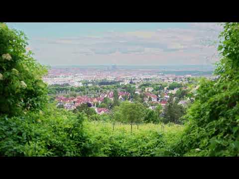 Video thumbnail for Good Morning Vienna
