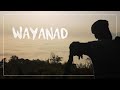 Wayanad You Beauty Cinematic Vlog P20 Pro