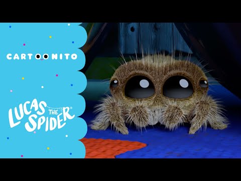 Lucas, die Spinne | Lucas geht auf die Jagd | Cartoonito