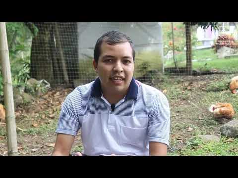 Reconocimiento de la Alcaldía de Pitalito, Huila.