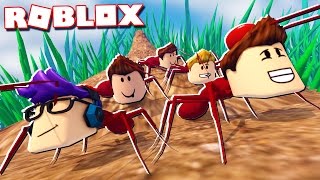 Roblox Adventures The Pals Transform Into Ants In Roblox Roblox Ant Simulator Free Online Games - ant yt roblox