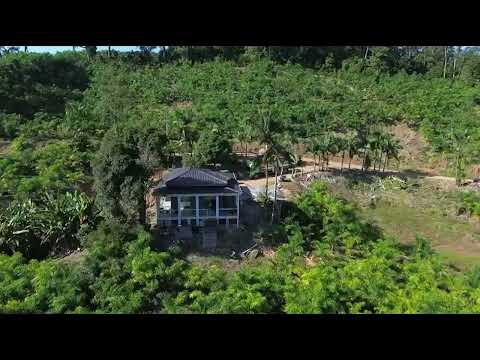 **SÍTIO PRODUTIVO À VENDA EM GUARAQUEÇABA – PR | 17,2 HECTARES | 120 MIL PÉS DE PUPUNHA**