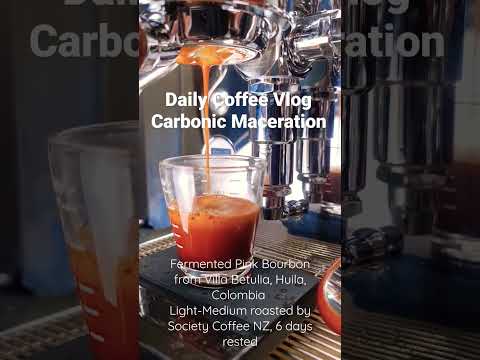 Daily Espresso | Carbonic Maceration | Lelit Bianca
