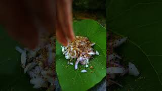 Download lagu common cold mp3