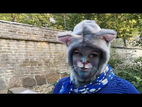 Roosikiisu Südamelaul