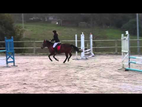 Maïwenn et Ramdam, club 3 à Kergueres le 11/10/15