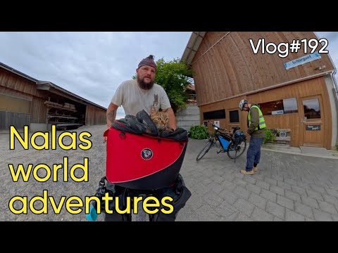 Vlog#192 Nala cat arrives in Bern 🇨🇭❤️