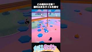 正解の場所は何処？最後に残る勝利のタイルを探せ【FallGuys/フォールガイズ】