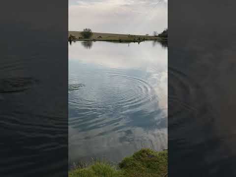 Wellsfield Fishery Ross&Sevki 19/04/21