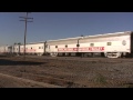 UP Challenger 3985 Pulls RBBB Circus Train Through Ault CO