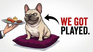 This Dog Shouldn't Exist (The French Bulldog)