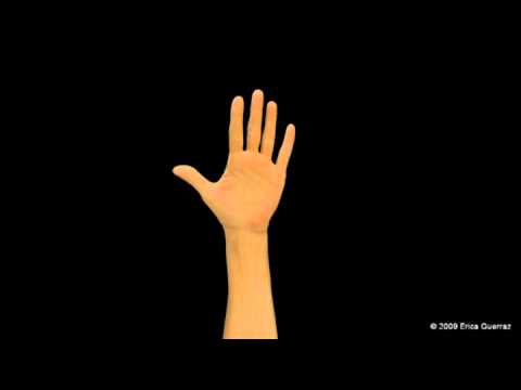 Video articolazione della spalla operazione Osteocondrosi e preparazioni
