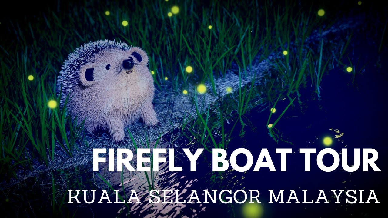 FIREFLY BOAT TOUR l KUALA SELANGOR l MALAYSIA l TRAVEL l BEAUTIFUL PLACES l DETAILS