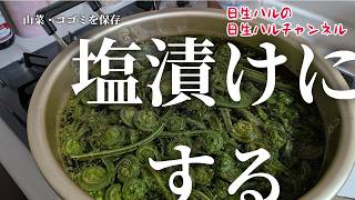 【山菜シリーズ】これでいつでも食べられる！山菜・コゴミの塩漬けに挑戦してみた