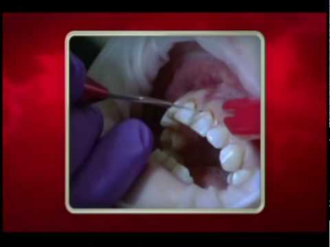 Dr. Pia Lieb: 10 Years Younger - Ellen Murphy