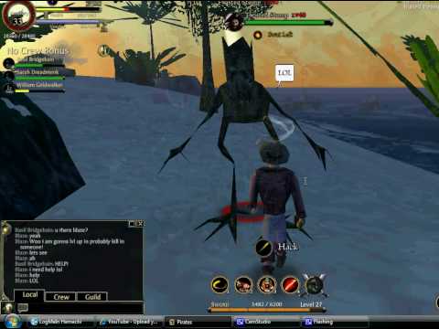 A funny lvl up in pirates online