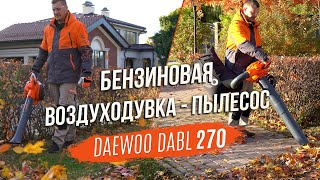 Воздуходувка бензиновая DAEWOO DABL 270 - видео №1