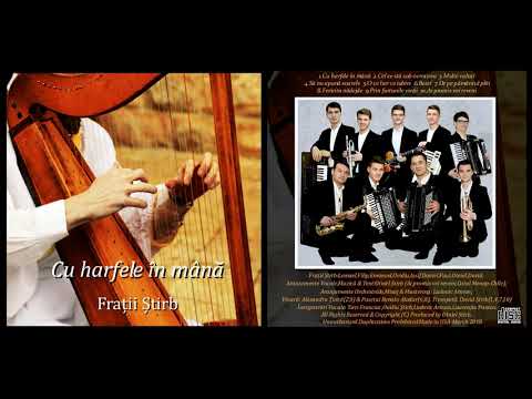 Frații Știrb - Ai promis vei reveni [Official Audio]