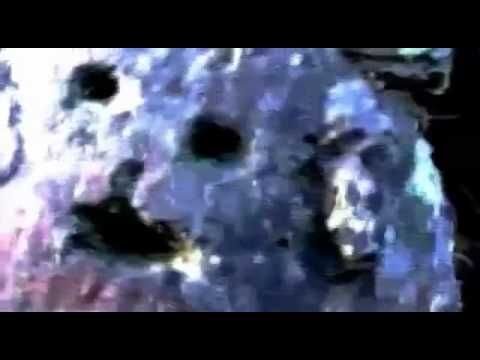 Felguk vs Example - Plastic Smile