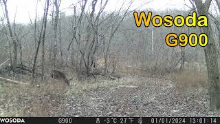 Trail Cam Tuesday - January 30, 2024