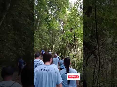 Caminhadas na Natureza com @sescsantacatarina, Alto Cutias, Lontras -SC
