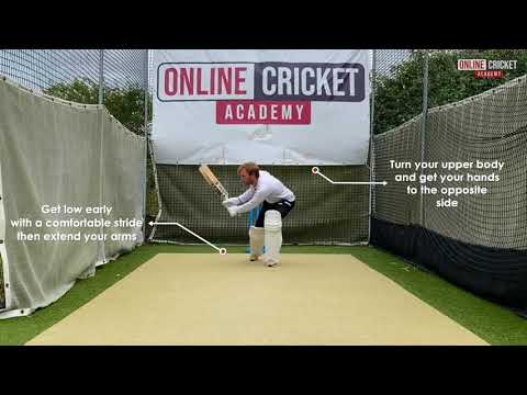 Batting: The Reverse Sweep