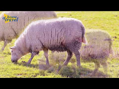 Op vakantie in eigen land - Groningen