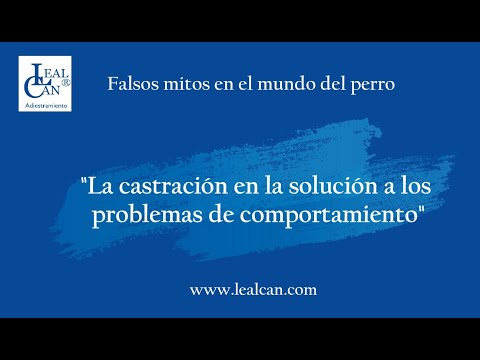 Mito 39. CASTRACIÓN como solución a PROBLEMAS de COMPORTAMIENTO en PERROS | LealCan Adiestramiento