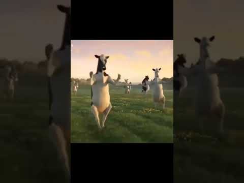 صوت صفير البلبل تابعوني تيك توك arc7m