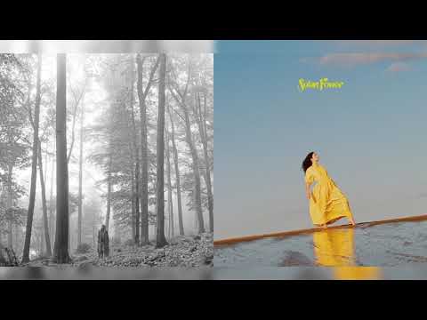 seven/secrets from a girl (who's seen it all) - taylor swift/lorde (mashup) ✧☾.·:·.*