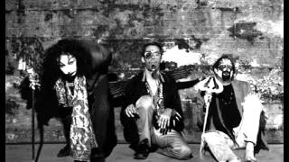 sun city girls - apna desh