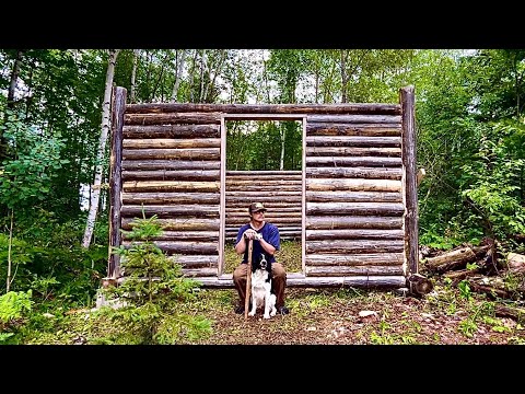 Solo Building My Log Cabin Workshop With Weathered Logs: Part 1
