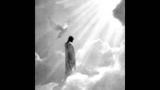 metatrone-santi & beati.wmv