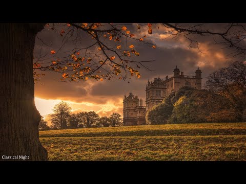 Classical sonatas - Jewels of classical music - Mozart, Beethoven, Bach, Chopin, Tchaikovsky, Vivald